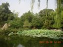 DSCN1523.JPG
