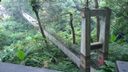 DSC_0535.JPG