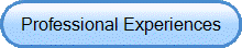 Professional Experiences